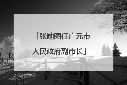 张勋图任广元市人民政府副市长
