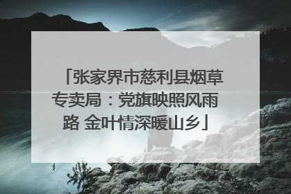 张家界市慈利县烟草专卖局：党旗映照风雨路 金叶情深暖山乡