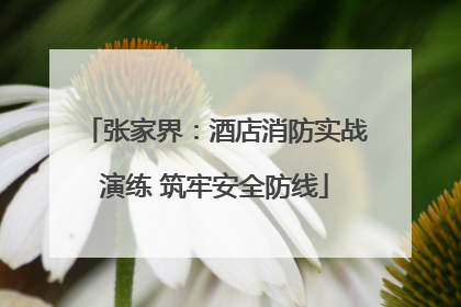 张家界：酒店消防实战演练 筑牢安全防线