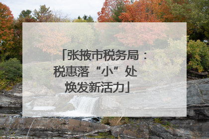 张掖市税务局：税惠落“小”处 焕发新活力