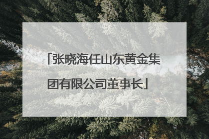 张晓海任山东黄金集团有限公司董事长