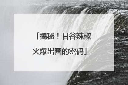 揭秘！甘谷辣椒火爆出圈的密码