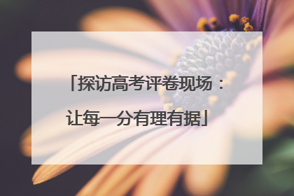 探访高考评卷现场：让每一分有理有据