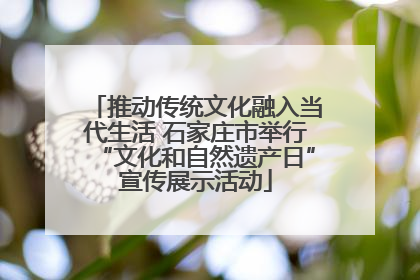 推动传统文化融入当代生活 石家庄市举行“文化和自然遗产日”宣传展示活动