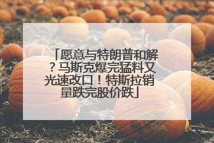 愿意与特朗普和解？马斯克爆完猛料又光速改口！特斯拉销量跌完股价跌