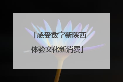 感受数字新陕西 体验文化新消费