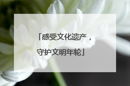 感受文化遗产，守护文明年轮