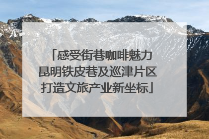 感受街巷咖啡魅力 昆明铁皮巷及巡津片区打造文旅产业新坐标