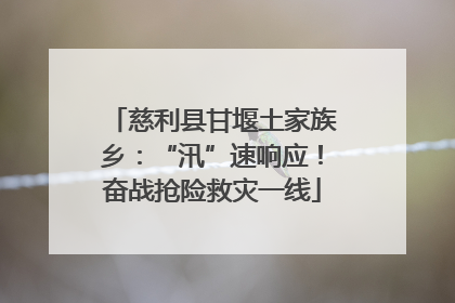 慈利县甘堰土家族乡：“汛”速响应！奋战抢险救灾一线