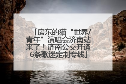 房东的猫“世界/青年”演唱会济南站来了！济南公交开通6条歌迷定制专线