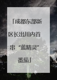 成都东部新区长出川内首串“蓝精灵”番茄