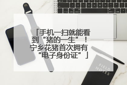 手机一扫就能看到“猪的一生”！宁乡花猪首次拥有“电子身份证”