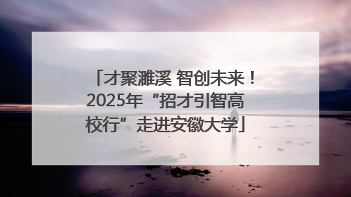 才聚濉溪 智创未来！2025年“招才引智高校行”走进安徽大学