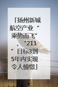 扬州新城航空产业“乘势而飞”，“211”目标3到5年内实现令人憧憬