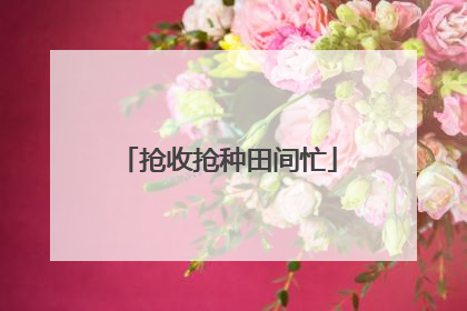 抢收抢种田间忙