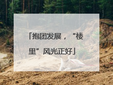 抱团发展，“楼里”风光正好