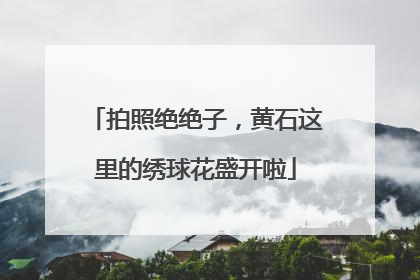 拍照绝绝子，黄石这里的绣球花盛开啦