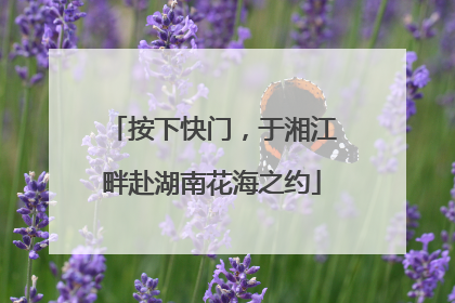 按下快门，于湘江畔赴湖南花海之约