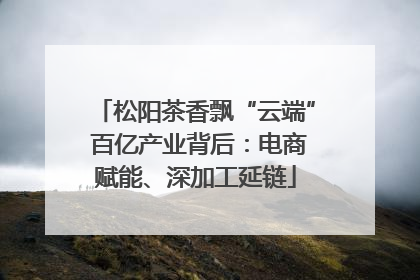 松阳茶香飘“云端” 百亿产业背后：电商赋能、深加工延链