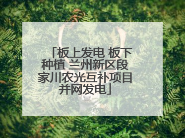 板上发电 板下种植 兰州新区段家川农光互补项目并网发电