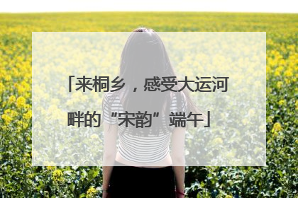 来桐乡，感受大运河畔的“宋韵”端午