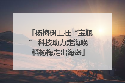 杨梅树上挂“宝瓶” 科技助力定海晚稻杨梅走出海岛