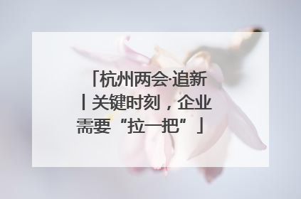 杭州两会·追新丨关键时刻，企业需要“拉一把”