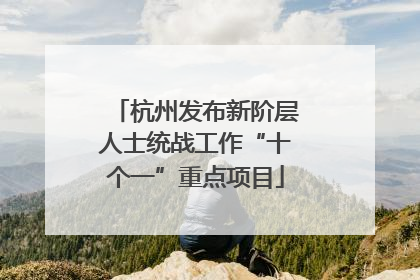 杭州发布新阶层人士统战工作“十个一”重点项目