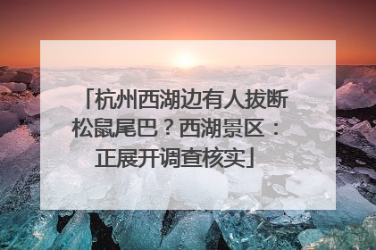 杭州西湖边有人拔断松鼠尾巴？西湖景区：正展开调查核实