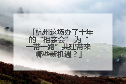 杭州这场办了十年的“相亲会” 为“一带一路”共建带来哪些新机遇？