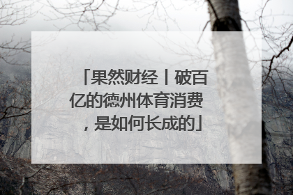 果然财经丨破百亿的德州体育消费，是如何长成的