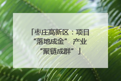 枣庄高新区：项目“落地成金” 产业“聚链成群”