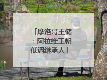 摩洛哥王储：阿拉维王朝低调继承人