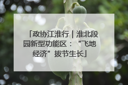 政协江淮行｜淮北段园新型功能区：“飞地经济”拔节生长