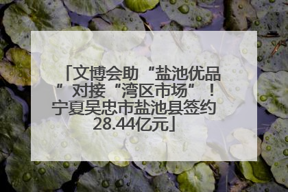 文博会助“盐池优品”对接“湾区市场”！宁夏吴忠市盐池县签约28.44亿元