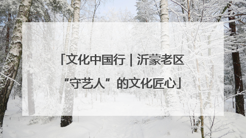 文化中国行｜沂蒙老区“守艺人”的文化匠心