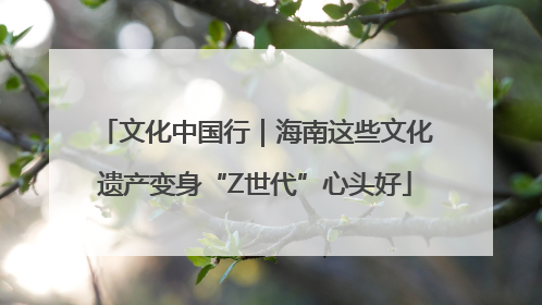 文化中国行｜海南这些文化遗产变身“Z世代”心头好