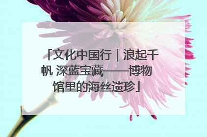 文化中国行｜浪起千帆 深蓝宝藏——博物馆里的海丝遗珍