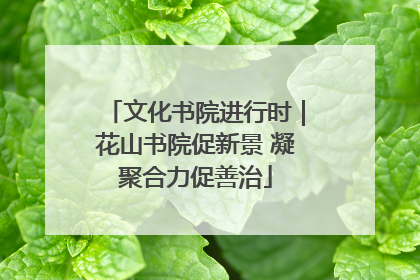 文化书院进行时｜花山书院促新景 凝聚合力促善治