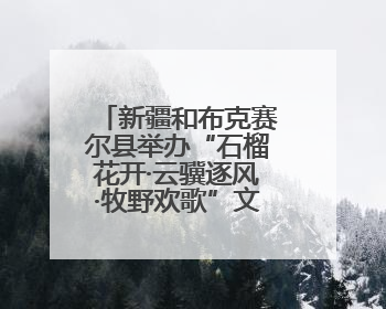 新疆和布克赛尔县举办“石榴花开·云骥逐风·牧野欢歌”文化演出季活动