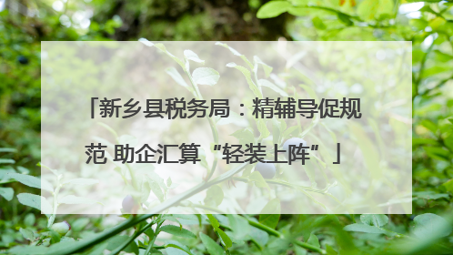 新乡县税务局：精辅导促规范 助企汇算“轻装上阵”