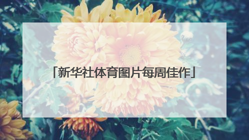 新华社体育图片每周佳作