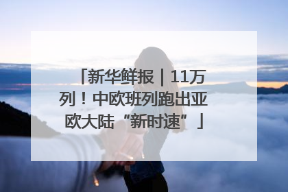 新华鲜报｜11万列！中欧班列跑出亚欧大陆“新时速”