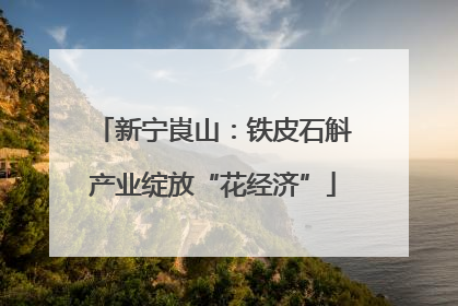 新宁崀山：铁皮石斛产业绽放“花经济”