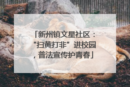 新州镇文星社区：“扫黄打非”进校园，普法宣传护青春