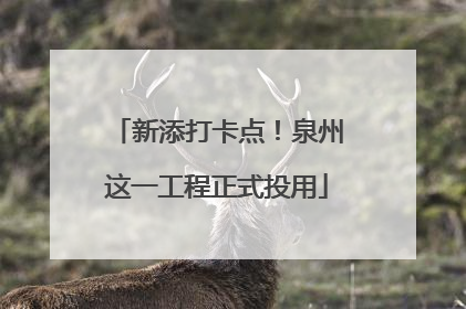 新添打卡点！泉州这一工程正式投用