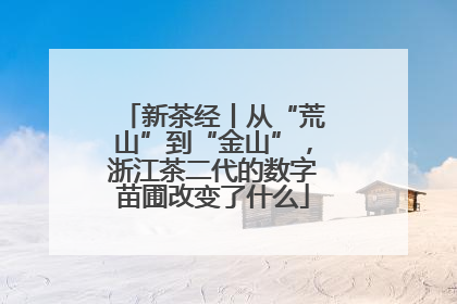 新茶经丨从“荒山”到“金山”，浙江茶二代的数字苗圃改变了什么