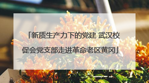 新质生产力下的党建 武汉校促会党支部走进革命老区黄冈