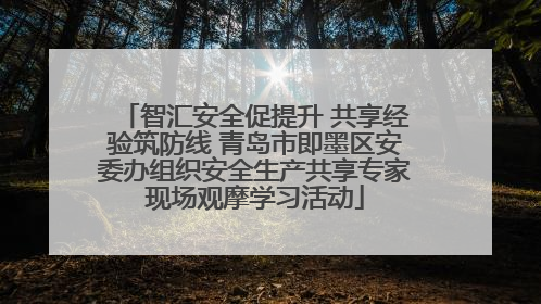 智汇安全促提升 共享经验筑防线 青岛市即墨区安委办组织安全生产共享专家现场观摩学习活动