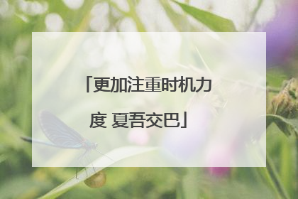 更加注重时机力度 夏吾交巴